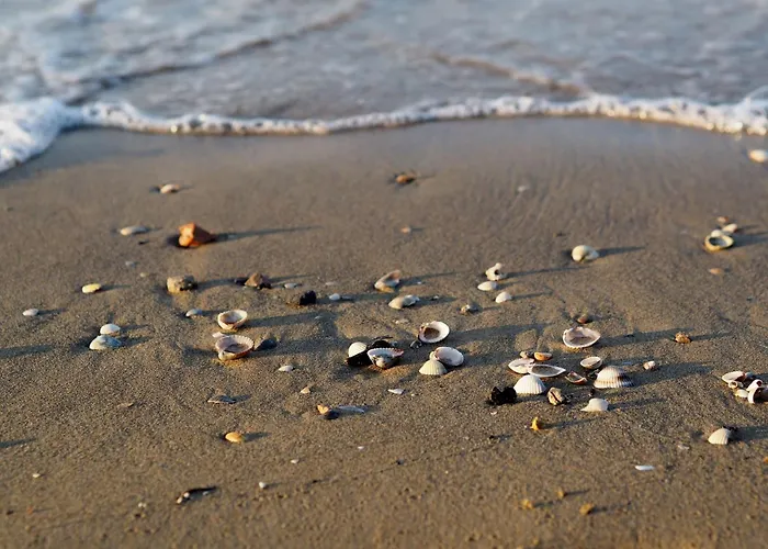 With Balcony 100m From The Sea