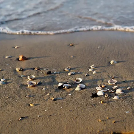 With Balcony 100m From The Sea